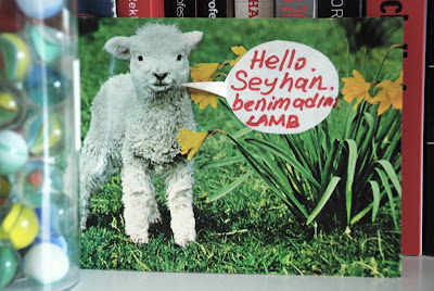 Lamb Postcard