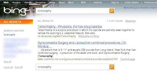 torsoraphy - Bing test