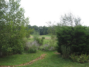 Entrance to our labyrinth