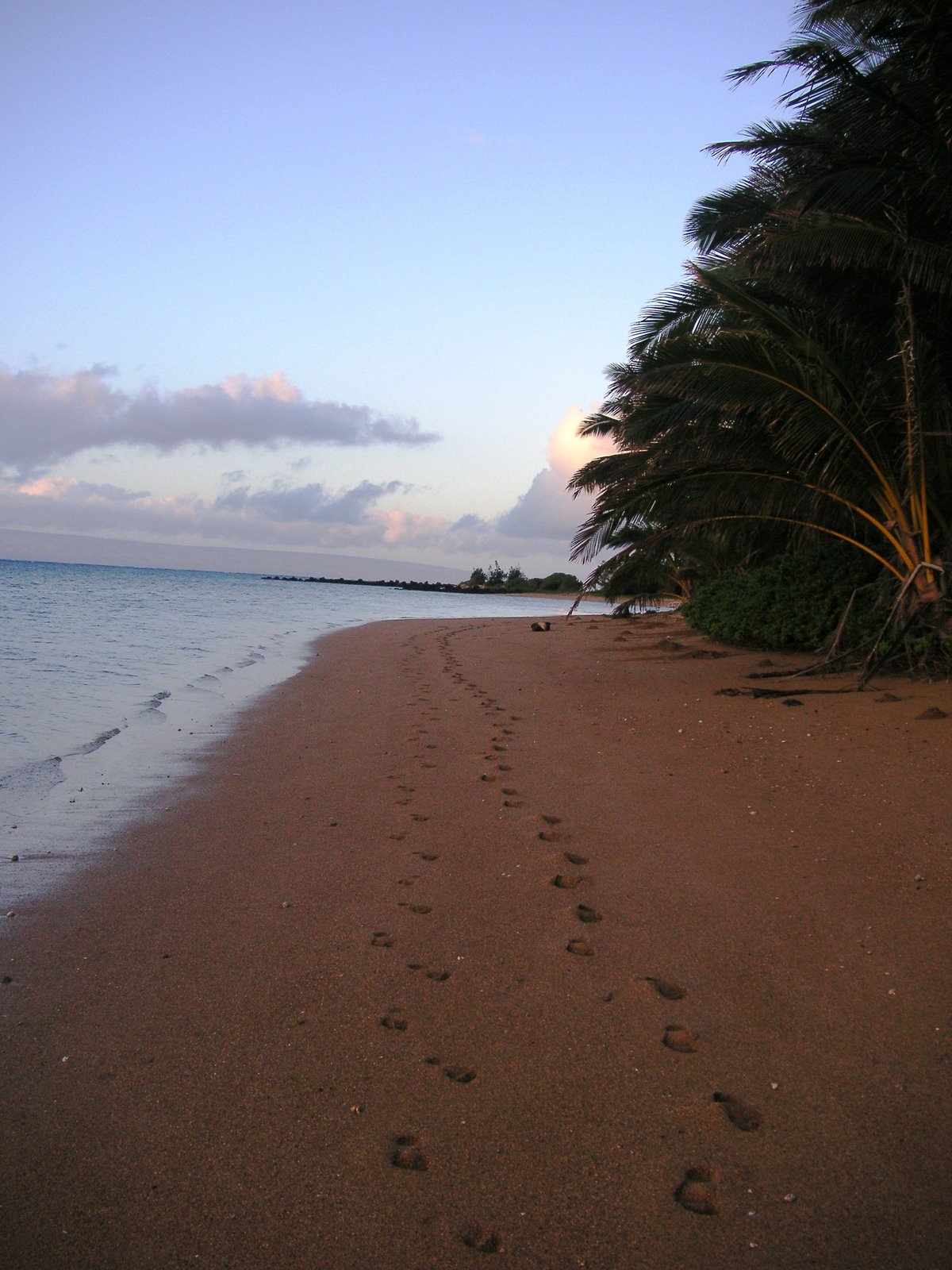 [Molokai+011.jpg]