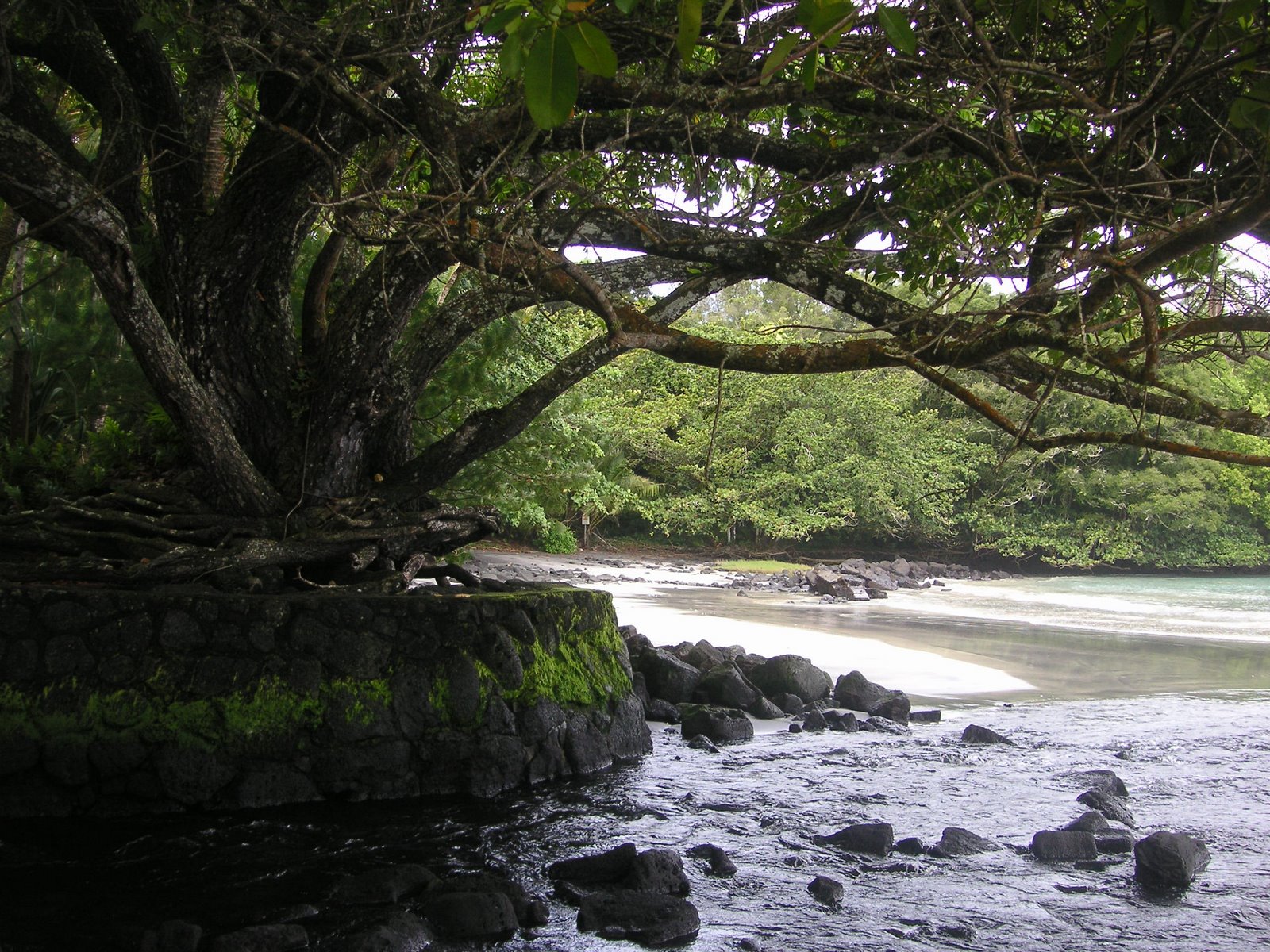 [PICT0332.JPG]