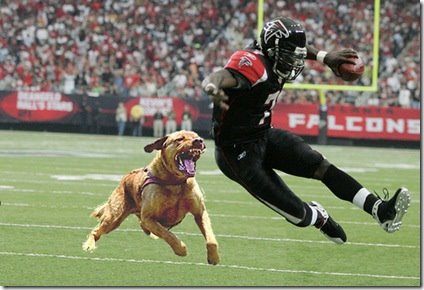 [vick.htm]