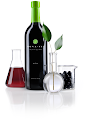 Monavie Active