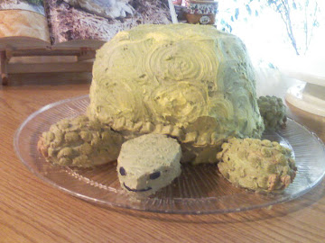 Turtle Shaped Cake