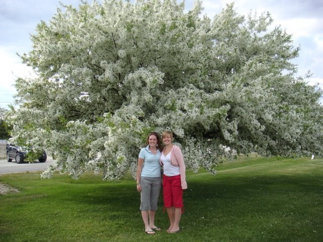 [Care+and+Nicki+and+Tree+Again.jpg]