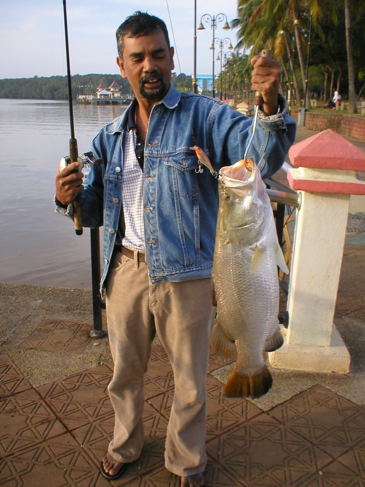Gewang Siakap