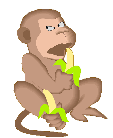pictures of monkeys eating bananas