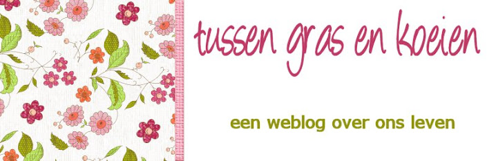 tussen gras en koeien