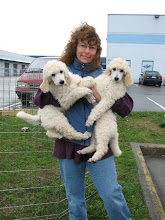 Tang & Opal upon arrival to Vancouver, Canada from Australia!