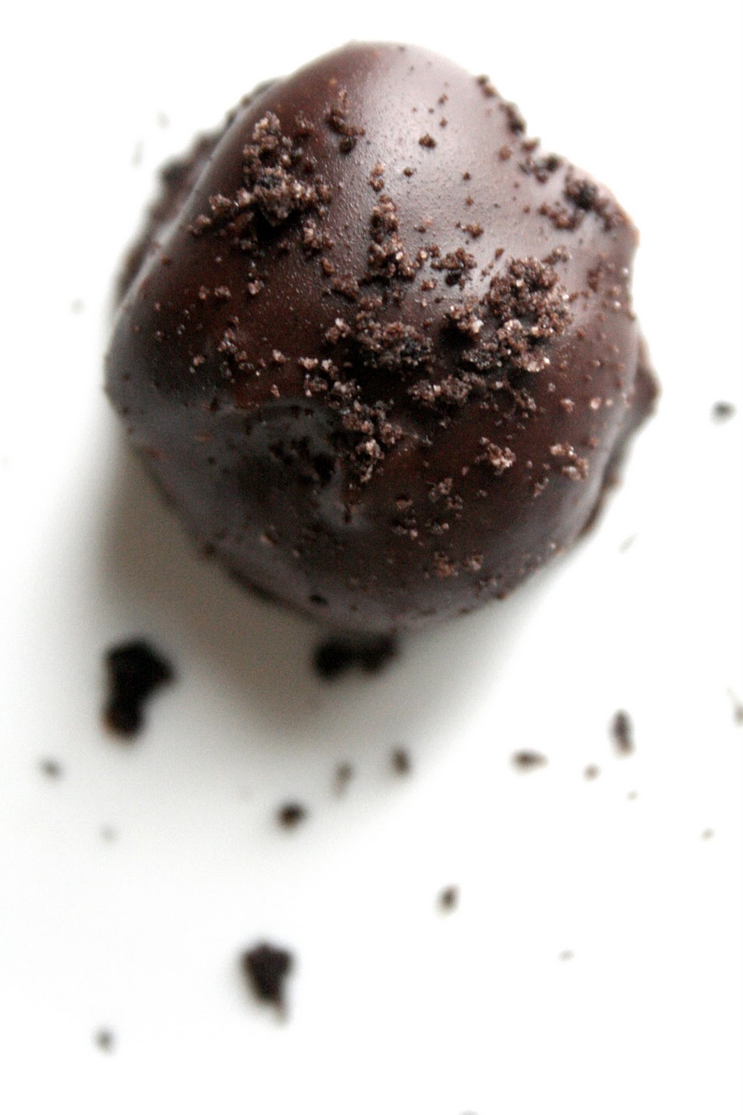 broma bakery Chocolate truffles