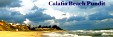 Calafia Beach Pundit