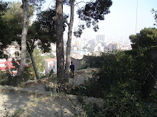 Vista parco di Gaudi