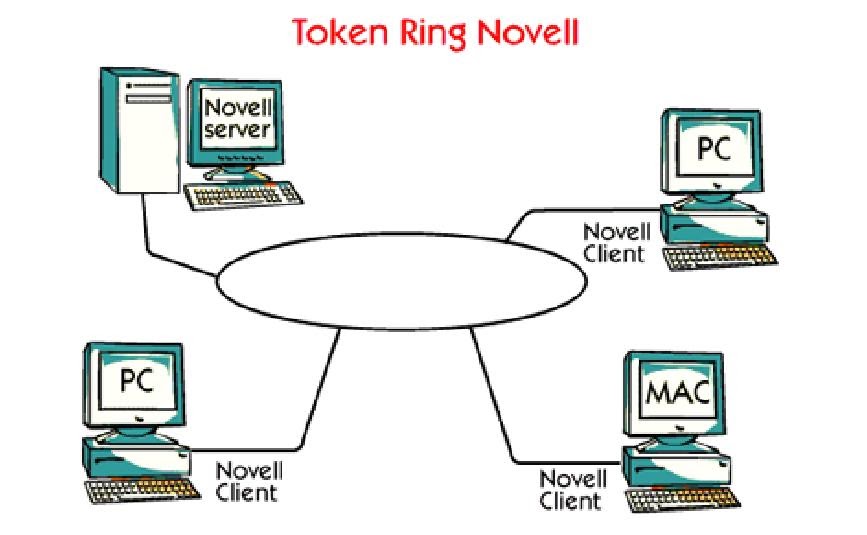 Token Ring Novell Assignment Lanka for Networks, IT, Computing, Programming and Money
