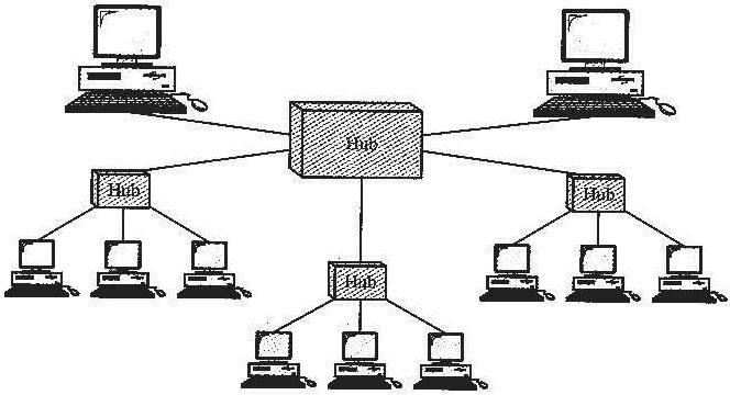 [Assignmentlanka_Tree_network.JPG]