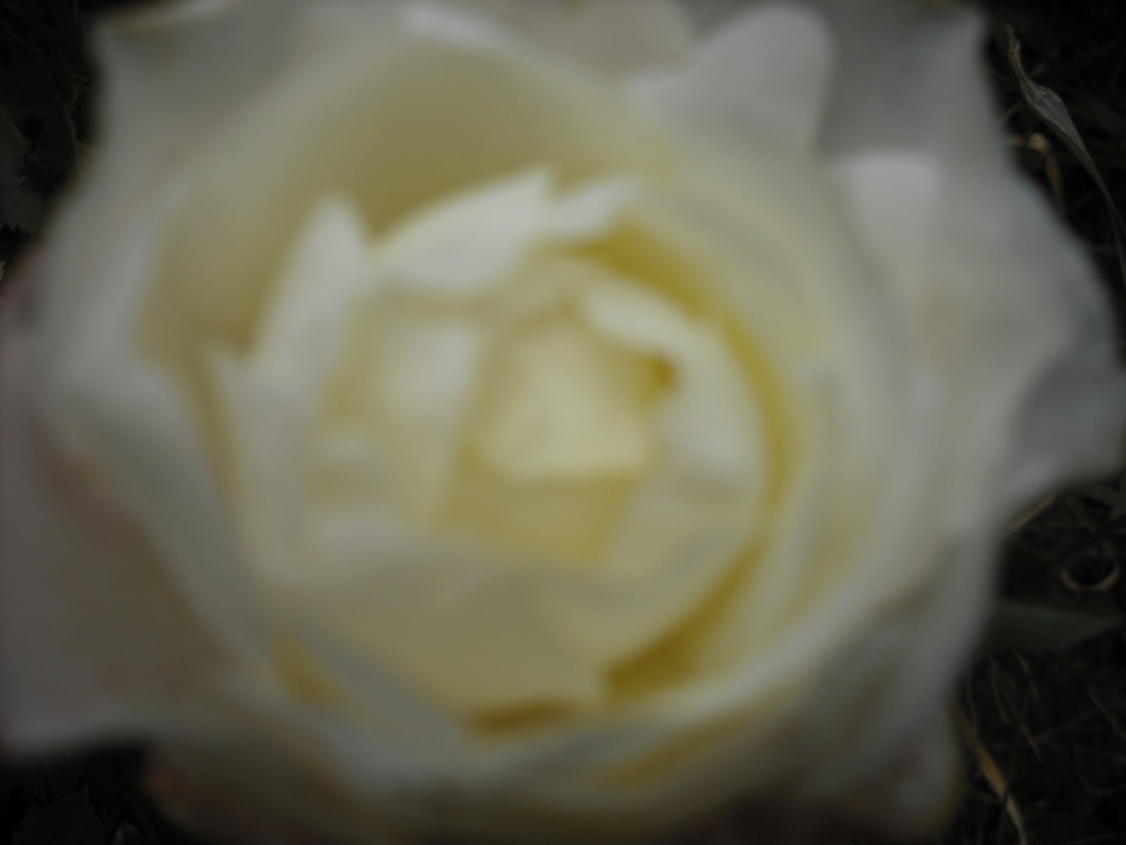 [DSCF0485.JPG]