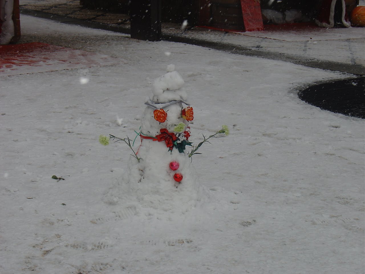 [DSC00181.JPG]