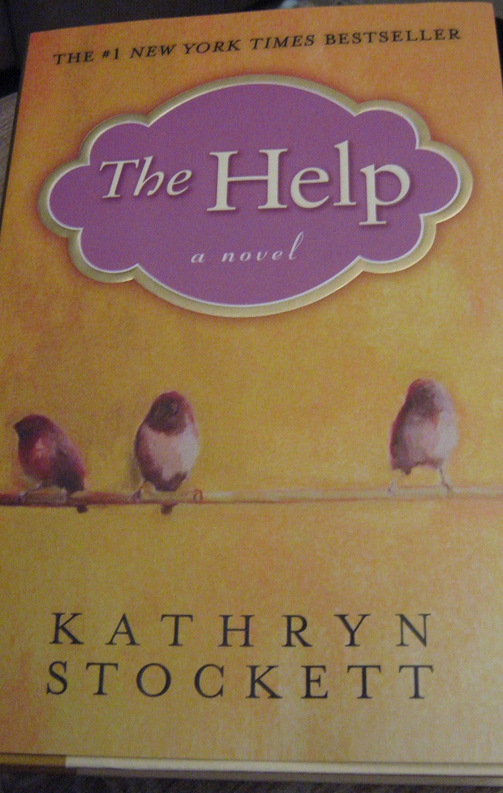 The Help By Katheryn Stockett: Chapter Analysis