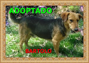 BARTOLO ADOPTADO!!!