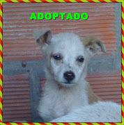 SANTIAGO ADOPTADO!!!