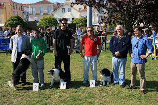 42º Trofeu de Agility 42º Trofeu de Agility