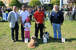 42º Trofeu de Agility 42º Trofeu de Agility
