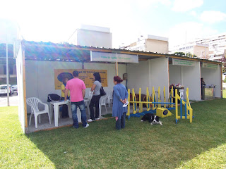 stand do clube Os Cãogurus