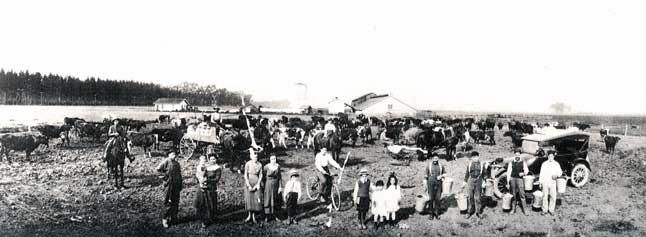 [dairynewarksm.jpeg]