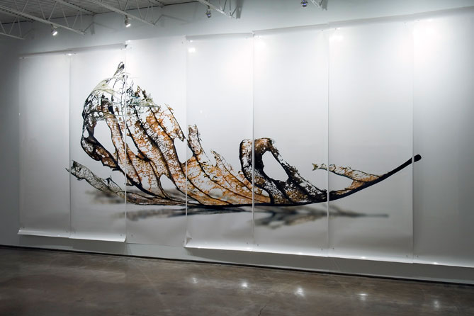 Starn Brothers Photography