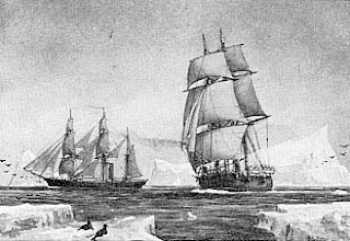 hms alert discovery left right arctic expedition british