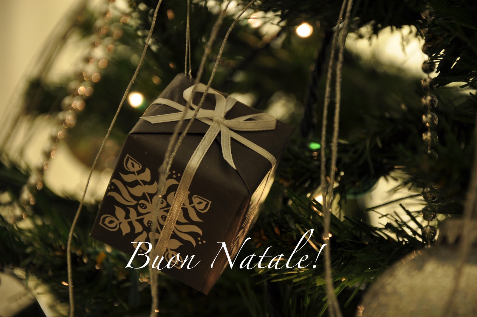 ES patrio. Bologna-Valencia: sola andata: dicembre 2010