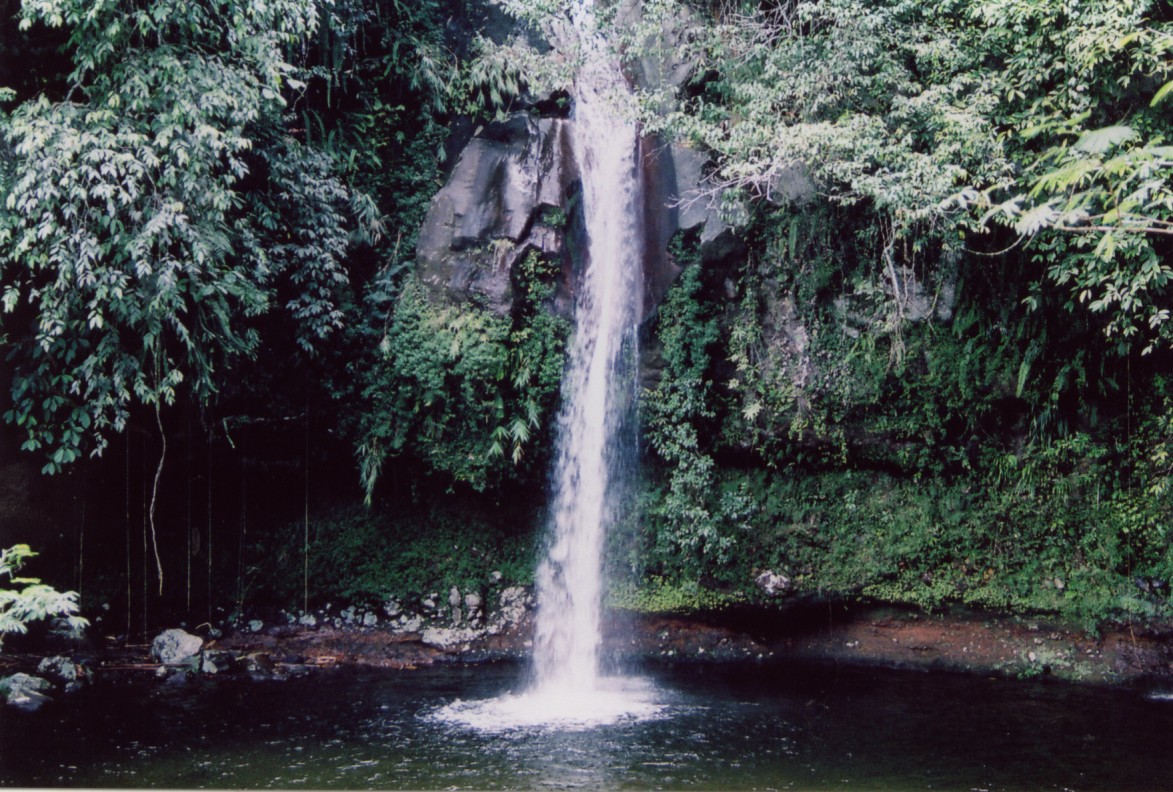 dempoland: AIR TERJUN CURUP PANCUR PAGAR ALAM