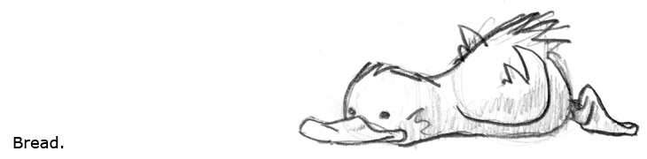 I find a duck's opinion of me is very much influenced by whether or not I have bread.