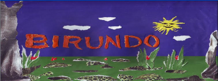 WELCOME TO VIRUNDO
