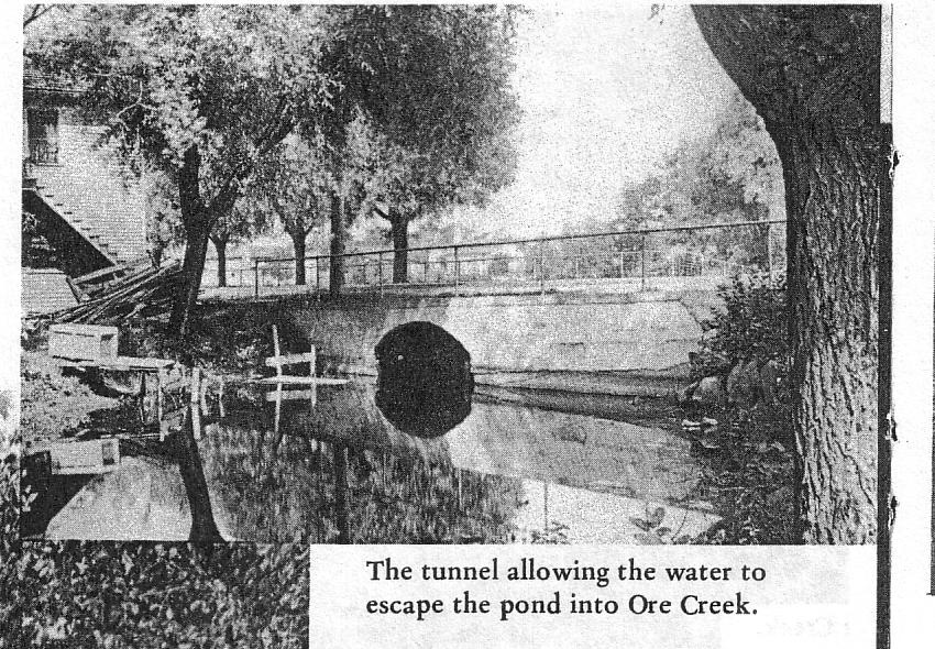 [olde+brighton+village_Mill+Pond+Tunnel.JPG]