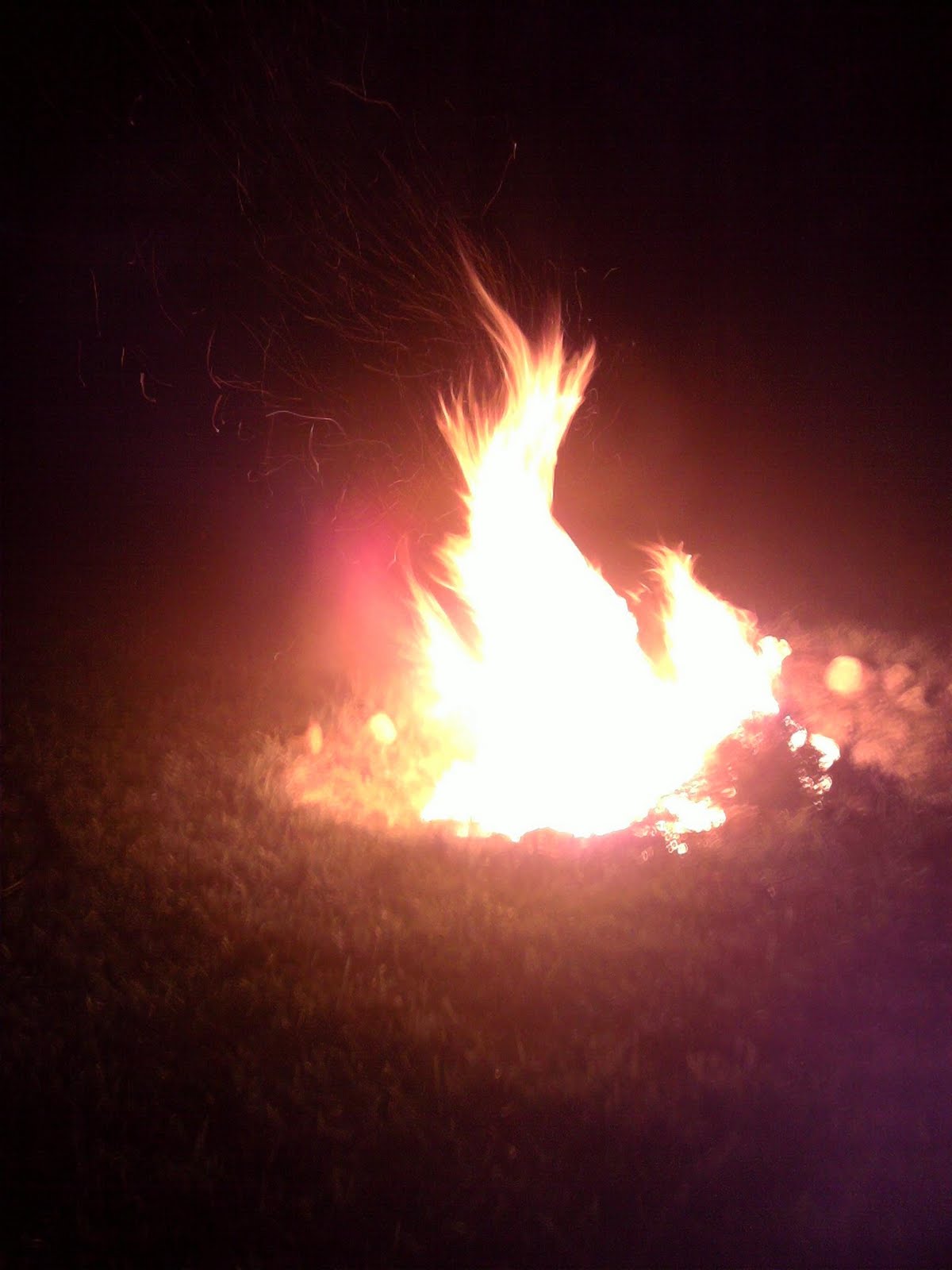 [Fire1.JPG]