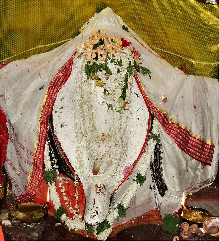 maa samalei