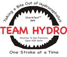 team hydro log
