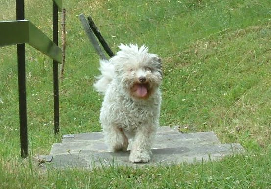 Milky bau ( + 27/07/2009)