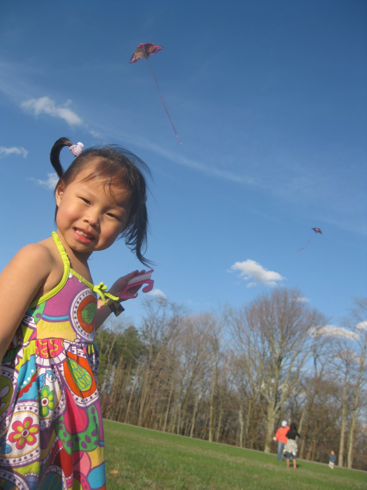A Little Brother for B.E.L. Flying Kites in the State Park
