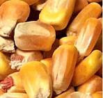 Per conoscere le quotazioni dei prodotti agricoli - link Camera di Commercio Verona