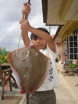 pakat fish