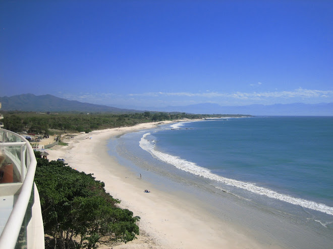 View of Beach looking South towards PV