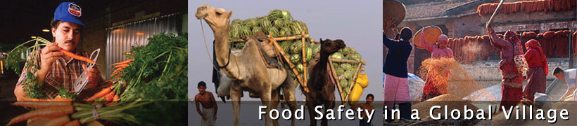 Food Safety in a Global Village