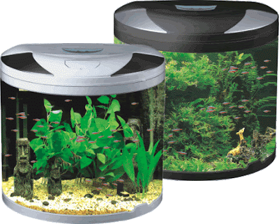 Accesorios para el acuario Equ_03