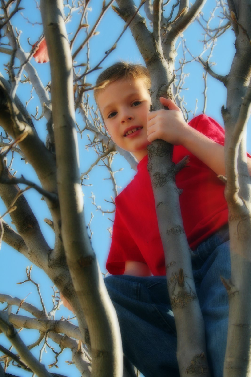 [ethan+in+the+tree.jpg]