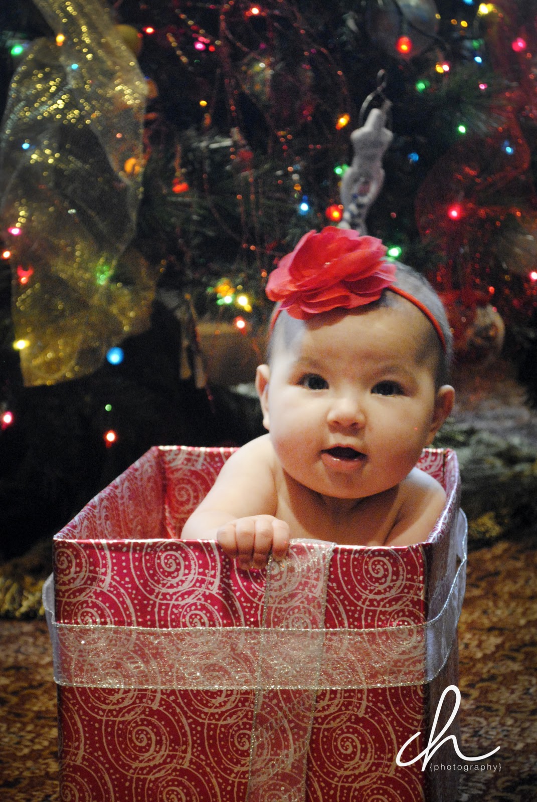 Diane Hernandez Photographer {Harmony, Minnesota} Baby in Box