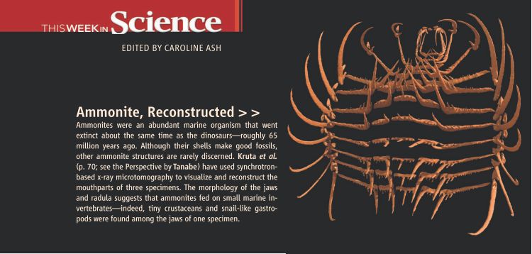 Hooder chops – Neal Asher