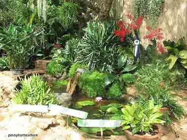 Exhibit Booth of Vic's Orchids & Ornamentals