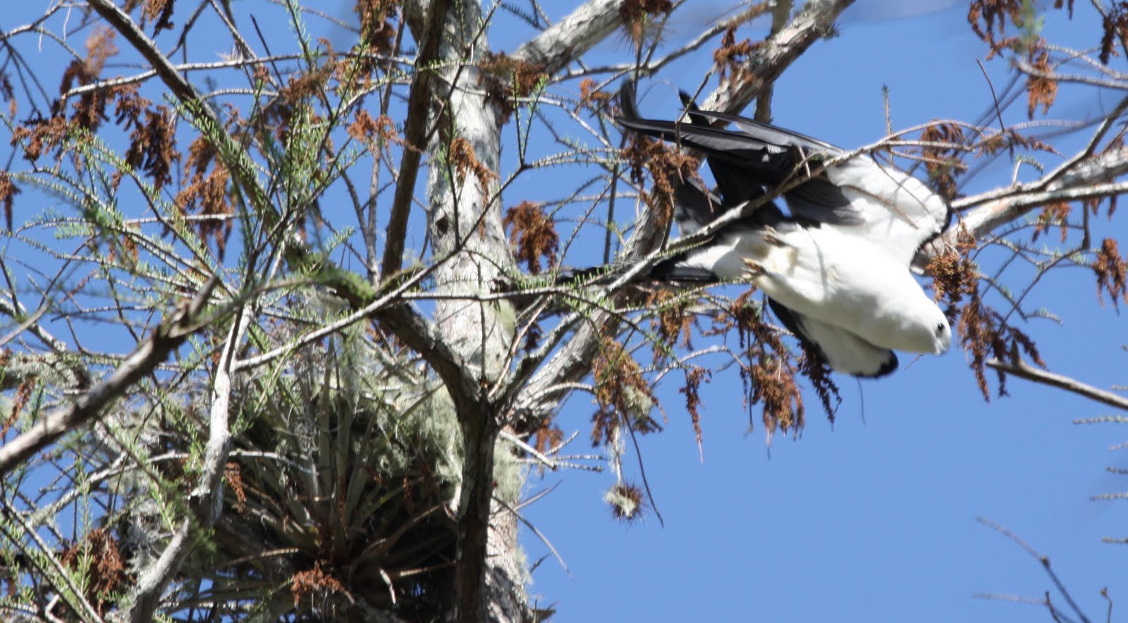 Garden on the Edge March 2010