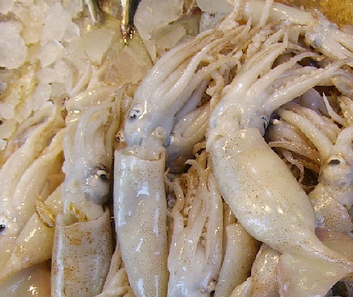 The Green Sanctuary: 10 Health Benefits of Squid